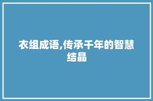 衣组成语,传承千年的智慧结晶