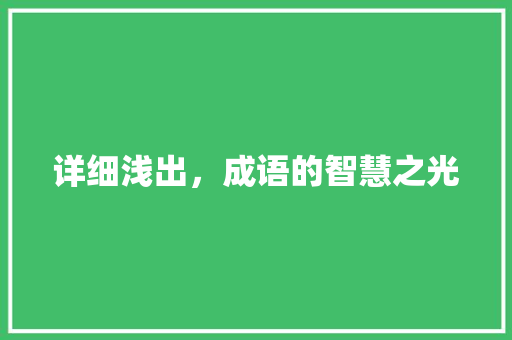 详细浅出，成语的智慧之光