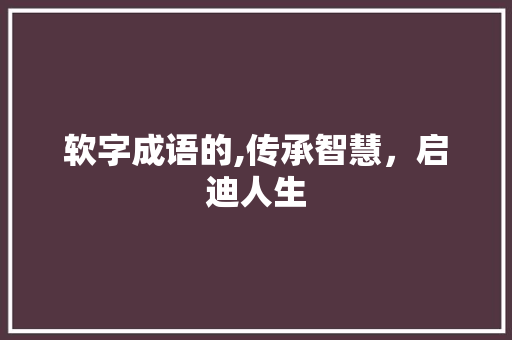 软字成语的,传承智慧，启迪人生 工作报告