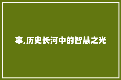 辜,历史长河中的智慧之光