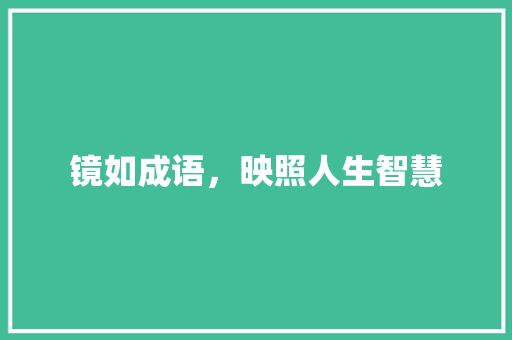 镜如成语，映照人生智慧