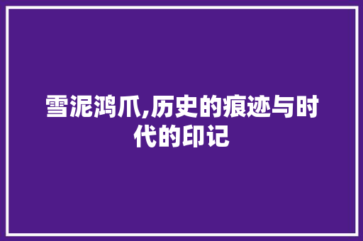 雪泥鸿爪,历史的痕迹与时代的印记 采访稿