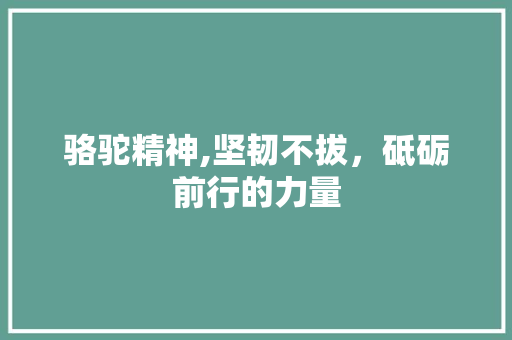 骆驼精神,坚韧不拔，砥砺前行的力量