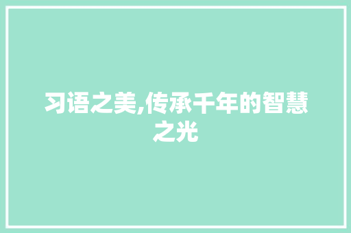 习语之美,传承千年的智慧之光