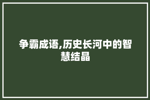 争霸成语,历史长河中的智慧结晶
