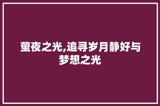 萤夜之光,追寻岁月静好与梦想之光