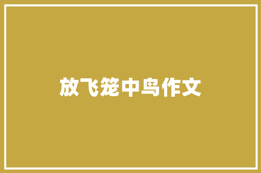 编导后期转型之路,探索与成长