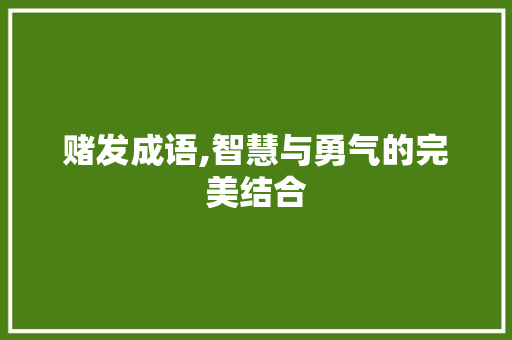 赌发成语,智慧与勇气的完美结合