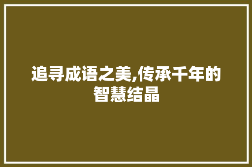 追寻成语之美,传承千年的智慧结晶
