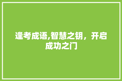 逢考成语,智慧之钥，开启成功之门