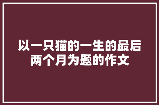 网吧创新计划,引领数字娱乐新时代