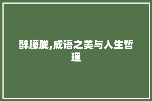 醉朦胧,成语之美与人生哲理