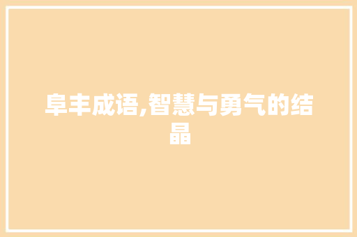 阜丰成语,智慧与勇气的结晶