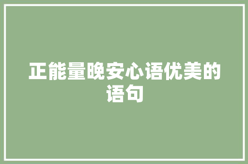 网吧项目施工计划,精细化布局，打造高效娱乐空间