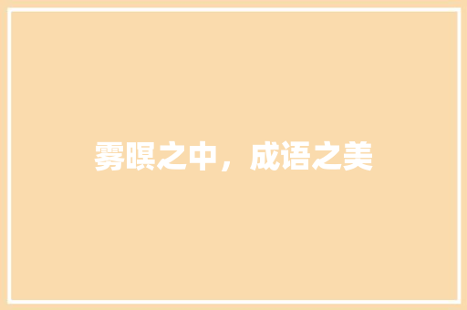 雾暝之中，成语之美 采访稿