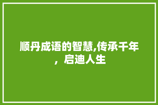 顺丹成语的智慧,传承千年，启迪人生