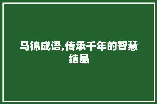 马锦成语,传承千年的智慧结晶 生活感悟