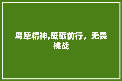 鸟犟精神,砥砺前行，无畏挑战