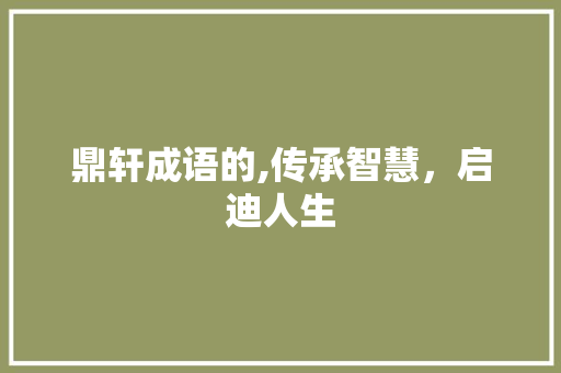 鼎轩成语的,传承智慧，启迪人生