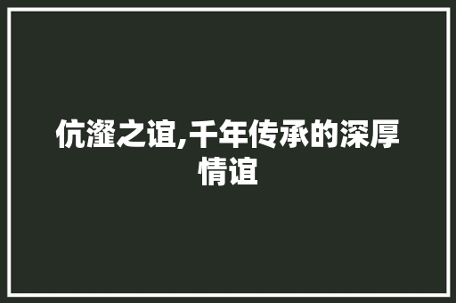 伉瀣之谊,千年传承的深厚情谊