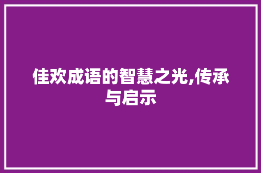 佳欢成语的智慧之光,传承与启示