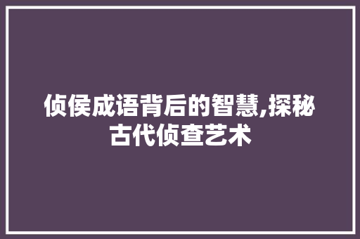 侦侯成语背后的智慧,探秘古代侦查艺术