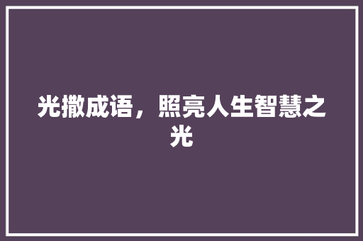 光撒成语，照亮人生智慧之光