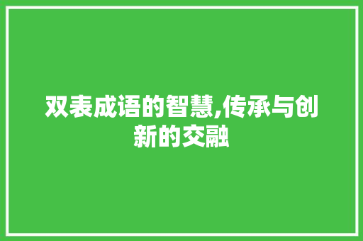 双表成语的智慧,传承与创新的交融