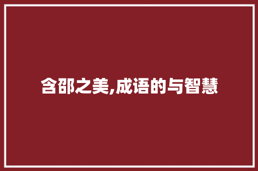 含邵之美,成语的与智慧