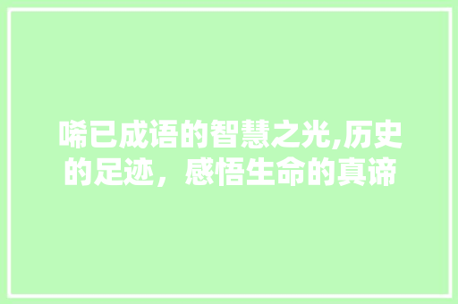 唏已成语的智慧之光,历史的足迹，感悟生命的真谛 工作报告