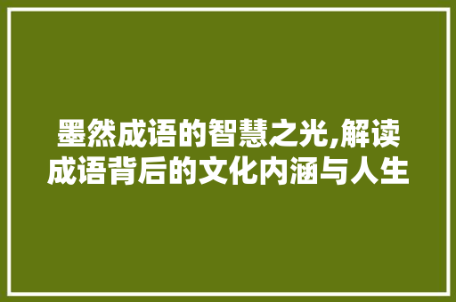 墨然成语的智慧之光,解读成语背后的文化内涵与人生哲理