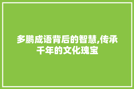 多鹏成语背后的智慧,传承千年的文化瑰宝