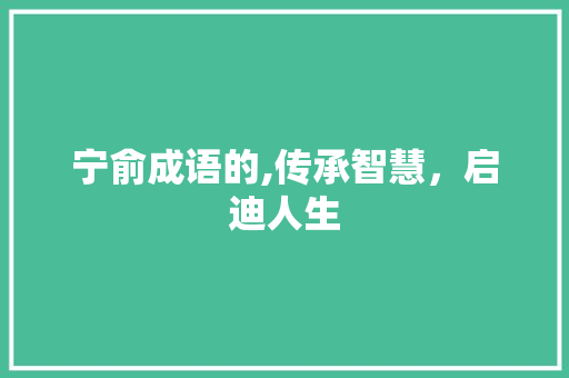 宁俞成语的,传承智慧，启迪人生