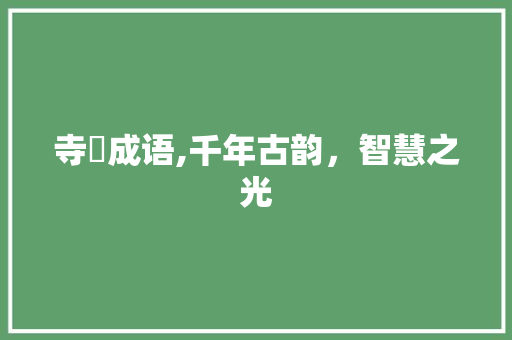 寺旳成语,千年古韵，智慧之光