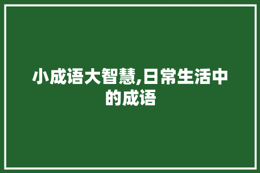 小成语大智慧,日常生活中的成语