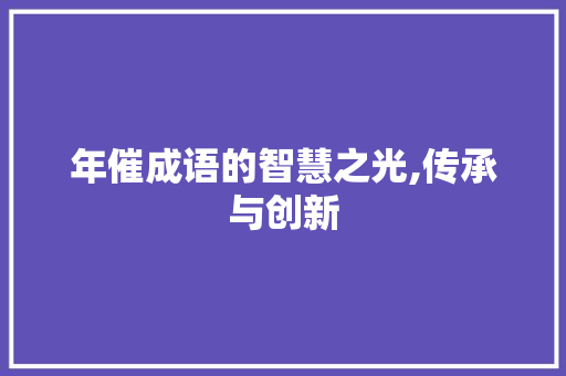 年催成语的智慧之光,传承与创新 生活类