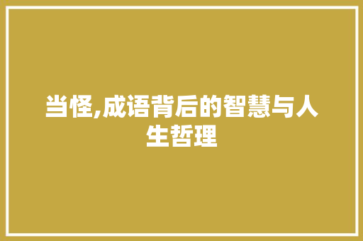 当怪,成语背后的智慧与人生哲理 特写稿