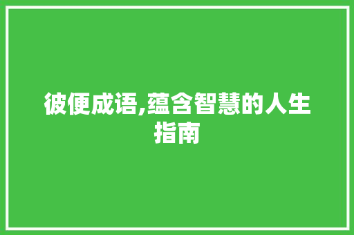 彼便成语,蕴含智慧的人生指南 生活类