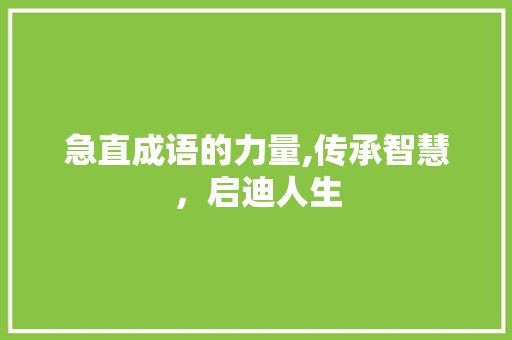 急直成语的力量,传承智慧，启迪人生