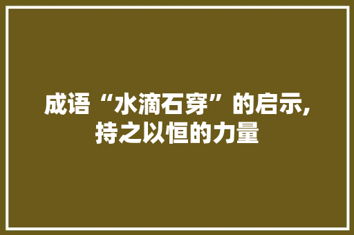 成语“水滴石穿”的启示,持之以恒的力量