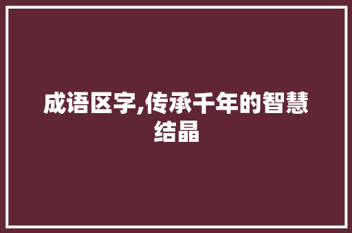 成语区字,传承千年的智慧结晶