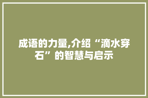 成语的力量,介绍“滴水穿石”的智慧与启示
