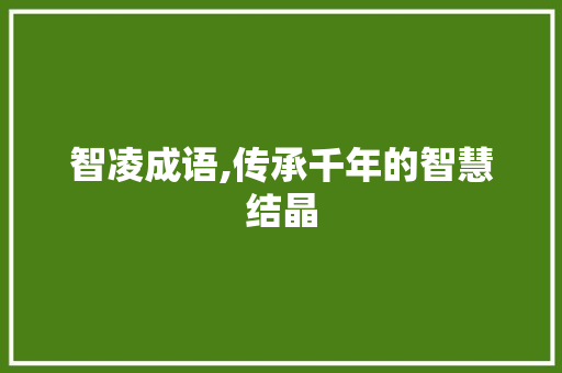 智凌成语,传承千年的智慧结晶 采访稿