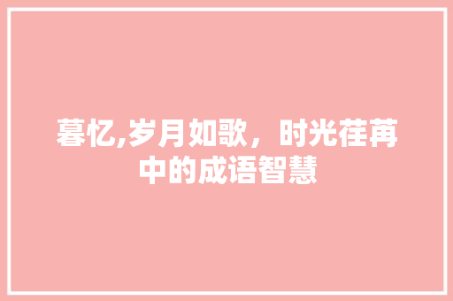 暮忆,岁月如歌，时光荏苒中的成语智慧