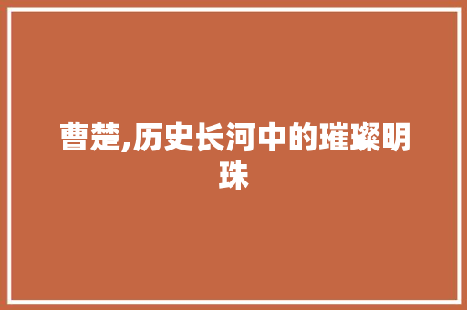 曹楚,历史长河中的璀璨明珠 工作报告