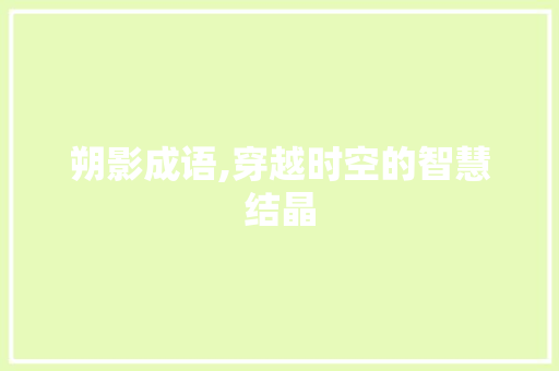 朔影成语,穿越时空的智慧结晶