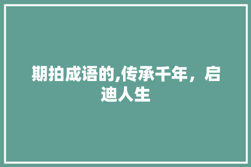 期拍成语的,传承千年，启迪人生
