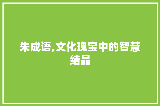 朱成语,文化瑰宝中的智慧结晶