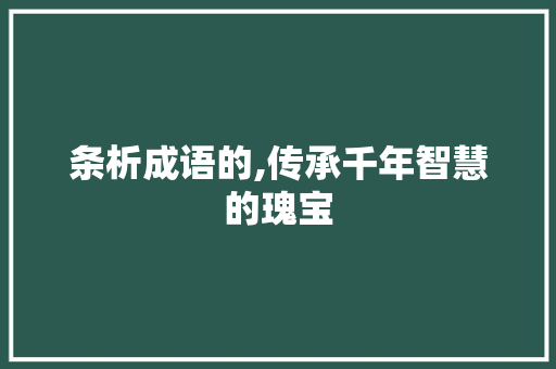 条析成语的,传承千年智慧的瑰宝 工作总结