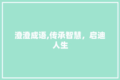澄澄成语,传承智慧，启迪人生